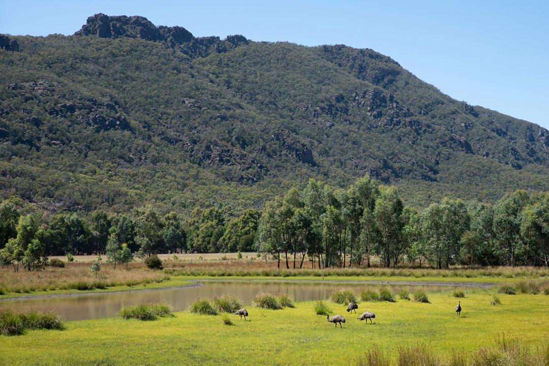 Halls Gap Motel Buitenkant foto